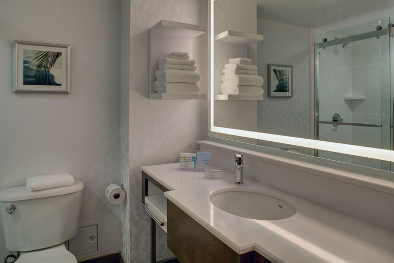 Bathroom 5, Hampton Inn & Suites Miami-Airport South-Blue Lagoon, Miami-Dade