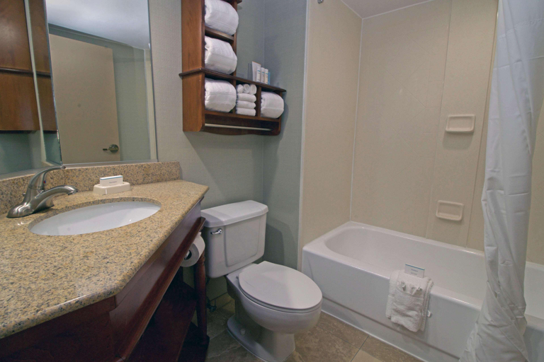 Bathroom 4, Hampton Inn Norfolk/Chesapeake (Greenbrier Area), Chesapeake