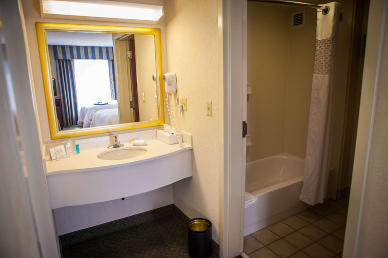 Bathroom 4, Hampton Inn & Suites Springfield-Southwest, Sangamon