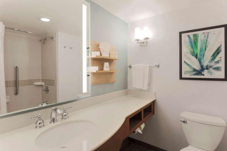 Bathroom 4, Hilton Garden Inn Raleigh-Durham, Durham