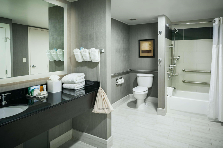 Bathroom 5, Hilton Brentwood/Nashville Suites, Williamson