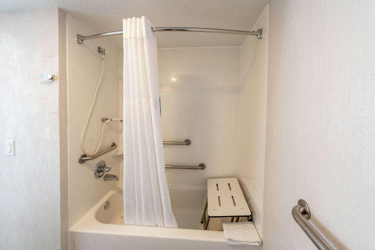 Bathroom 4, Hampton Inn Waco, McLennan
