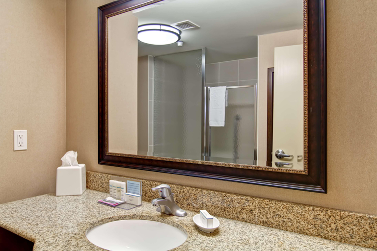Bathroom 4, Hampton Inn by Hilton Sudbury, Greater Sudbury
