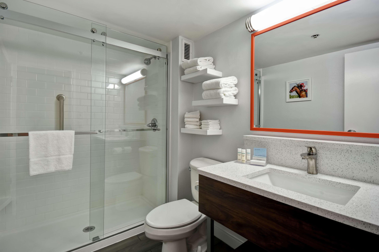 Bathroom 5, Hampton Inn I-75 Lexington/Hamburg Area, Fayette