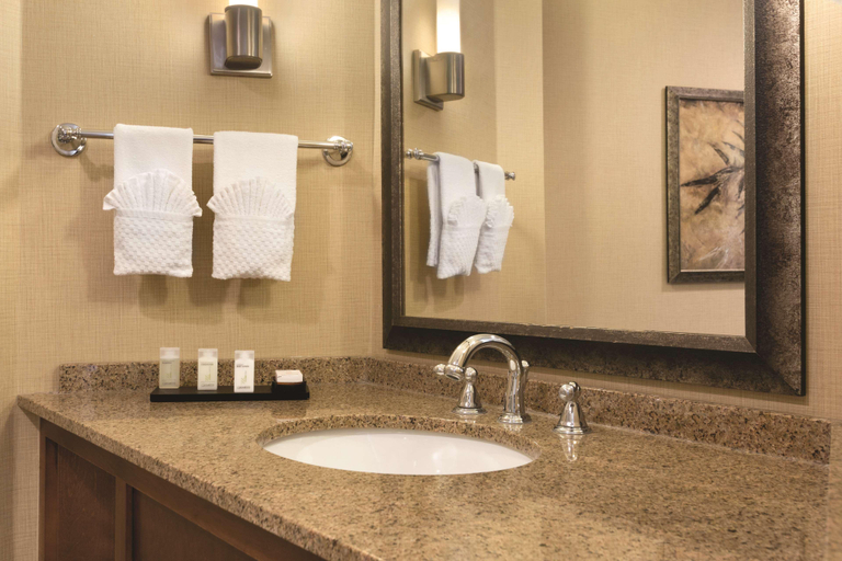 Bathroom 5, Embassy Suites Bloomington Minneapolis, Hennepin