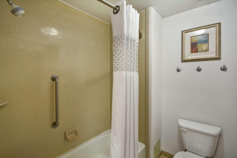 Bathroom 4, Hampton Inn & Suites Corpus Christi I-37 - Navigat, Nueces