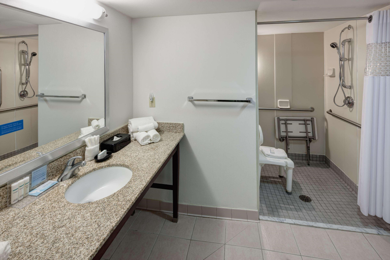 Bathroom 4, Hampton Inn St. Louis-Downtown (At the Gateway Arc, Saint Louis