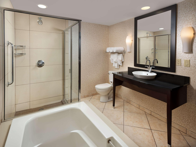 Bathroom 5, Doubletree Hotel Chattanooga Downtown, Hamilton