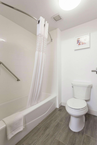 Bathroom 4, Hampton Inn&Suites Dallas-Dfw Airport N/Grapevine, Tarrant