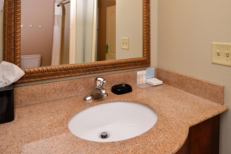 Bathroom 4, Hampton Inn by Hilton Litchfield, Montgomery
