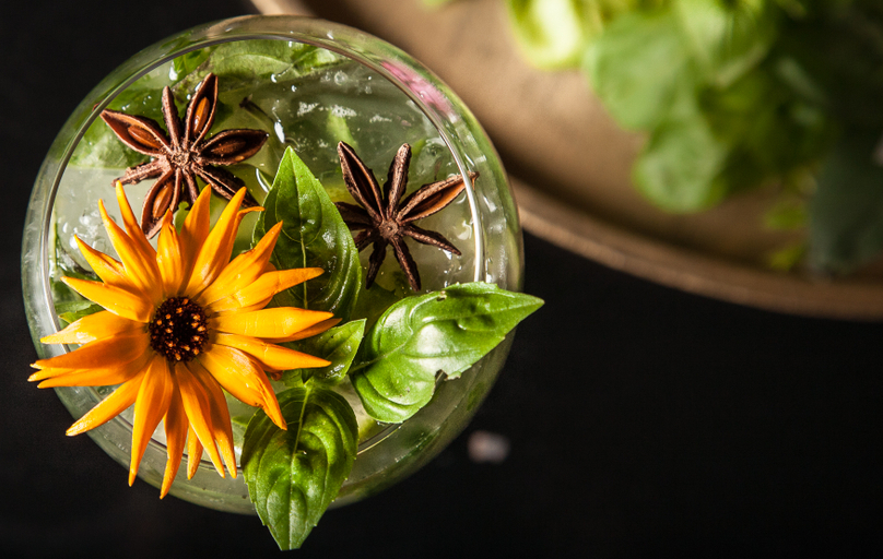 Food & Drinks 5, Le Lion d'Or Bayeux, Calvados