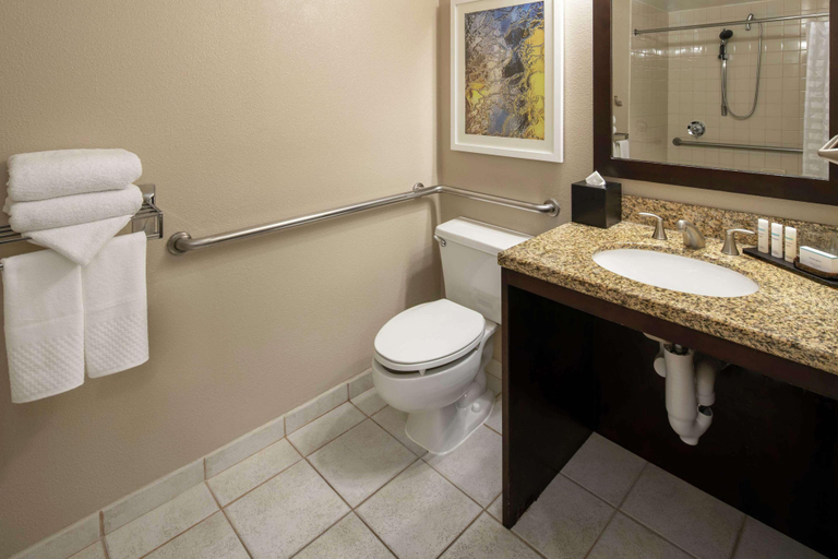 Bathroom 4, Embassy Suites Seattle Tacoma International, Tukwila