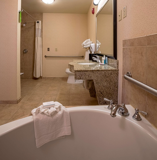 Bathroom 4, Hampton Inn & Suites Sacramento-Elk Grove Laguna, Sacramento