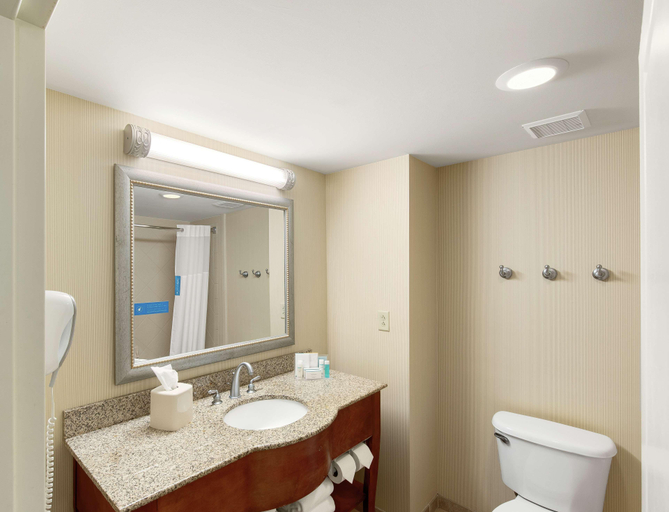 Bathroom 4, Hampton Inn & Suites North Conway, Carroll