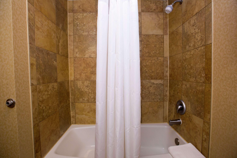 Bathroom 4, Hampton Inn & Suites Houston Rosenberg, Fort Bend