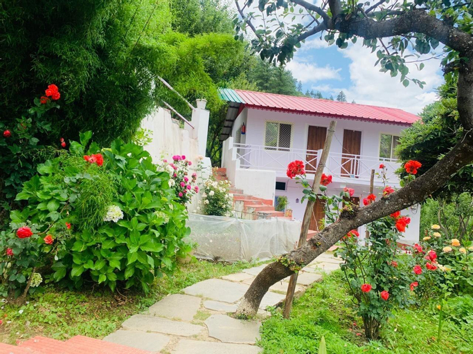 Humble stays in Joshimath  - Snowy Area! Room 4, Chamoli