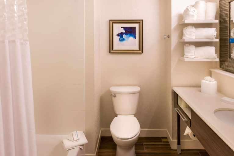 Bathroom 4, Hampton Inn & Suites Orlando/East UCF Area, Orange