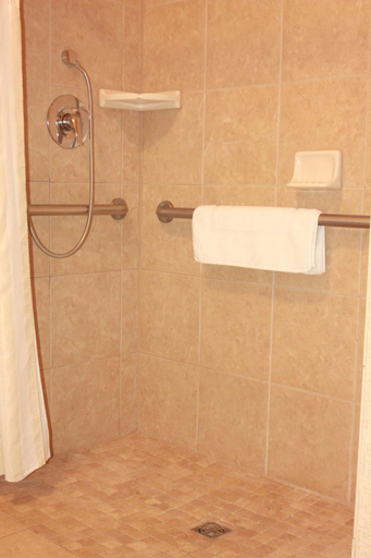 Bathroom 4, Hilton Garden Inn Clovis, Fresno