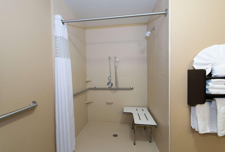 Bathroom 4, Hampton Inn & Suites Scottsboro, Jackson