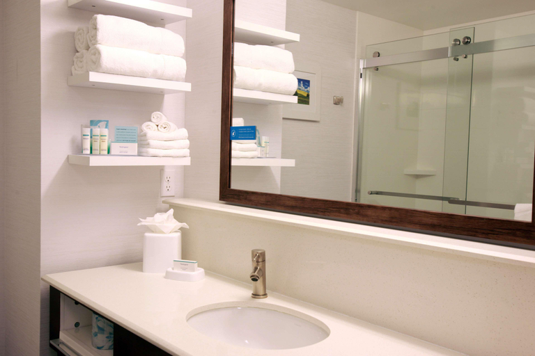 Bathroom 4, Hampton Inn & Suites Boise/Nampa at the Idaho Cent, Canyon
