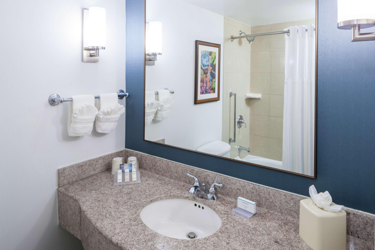 Bathroom 4, Hilton Garden Inn Dallas/Allen, Collin