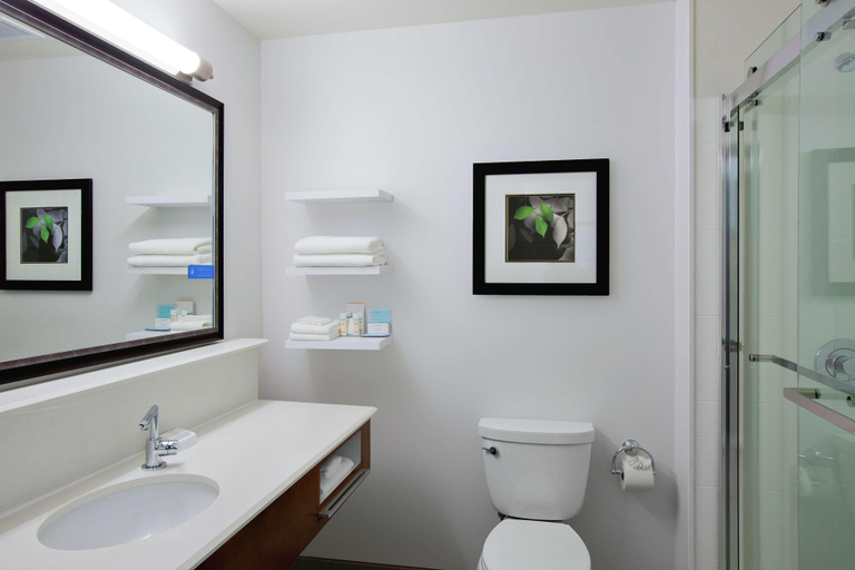 Bathroom 5, Hampton Inn & Suites Mountain View, Santa Clara