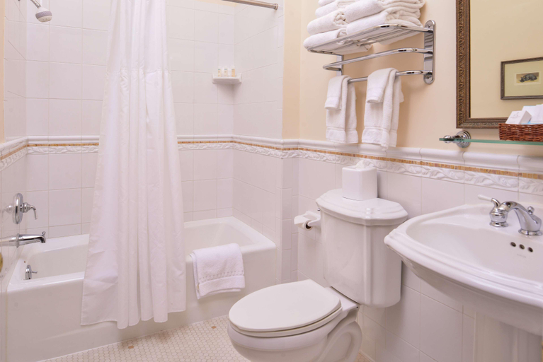 Bathroom 4, Hampton Inn Lexington-Historic District, Lexington