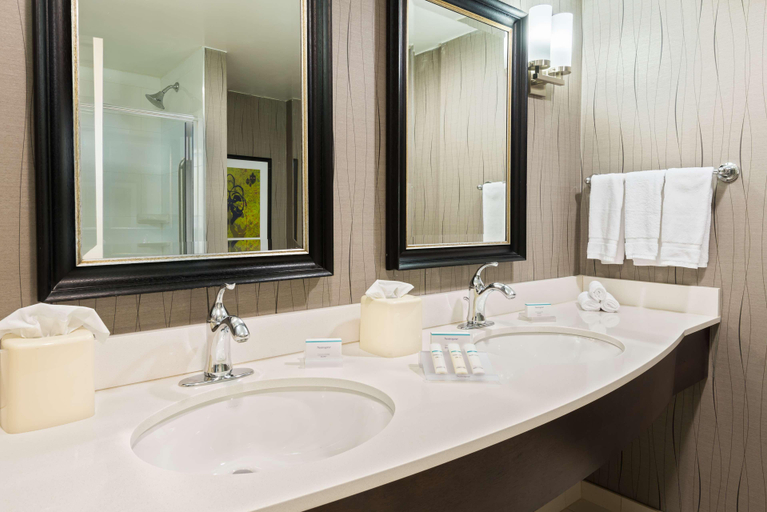 Bathroom 4, Hilton Garden Inn Westbury, Nassau