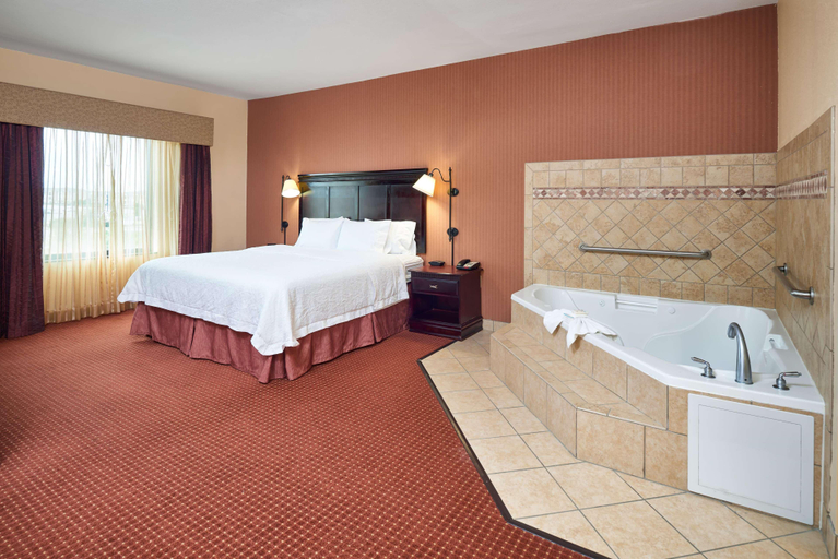 Bedroom 3, Hampton Inn & Suites Austin South/Buda, Hays