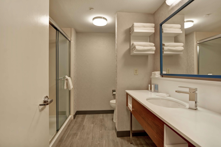 Bathroom, Hampton Inn Moab, Grand