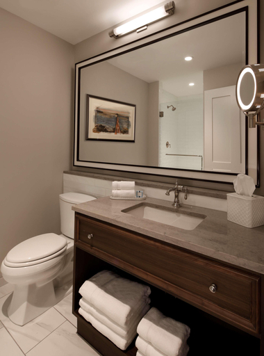 Bathroom 4, Belleview Biltmore Resort, Pinellas