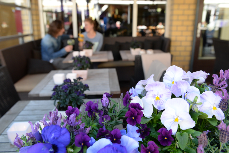 Others 4, Fletcher Hotel-Restaurant De Cooghen, Texel