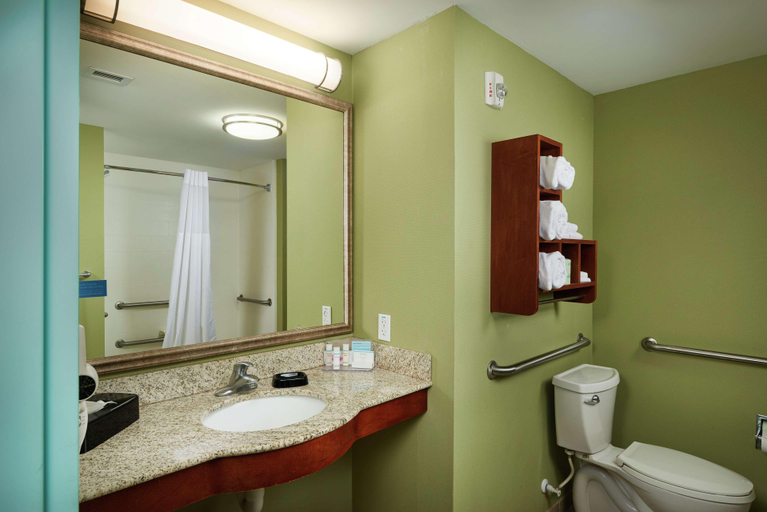 Bathroom 4, Hampton Inn Bermuda Run, Davie