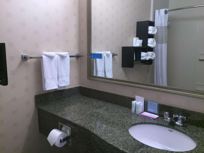 Bathroom 5, Hampton Inn & Suites Mountain View, Santa Clara