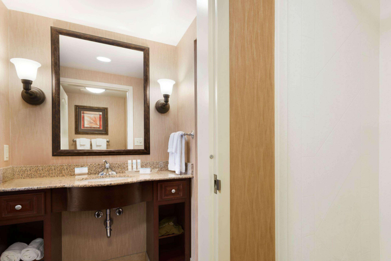 Bathroom 4, Homewood Suites by Hilton Minneapolis-St.LouisPark, Hennepin