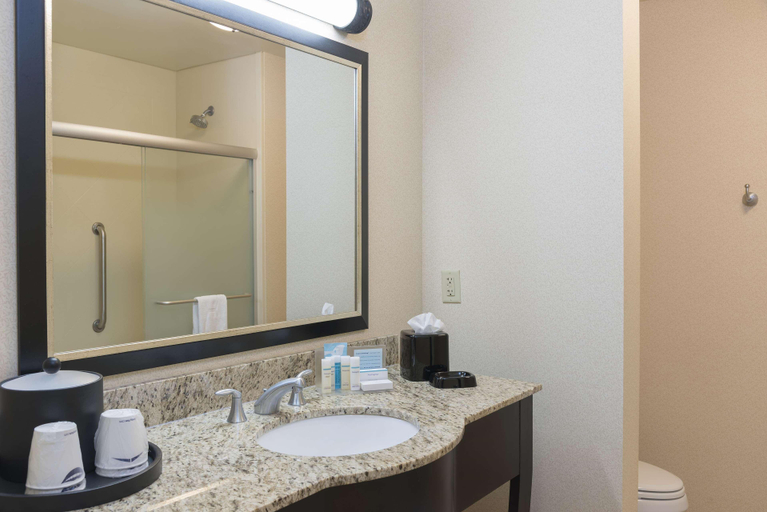 Bathroom 4, Hampton Inn & Suites Hartford-Manchester, Hartford