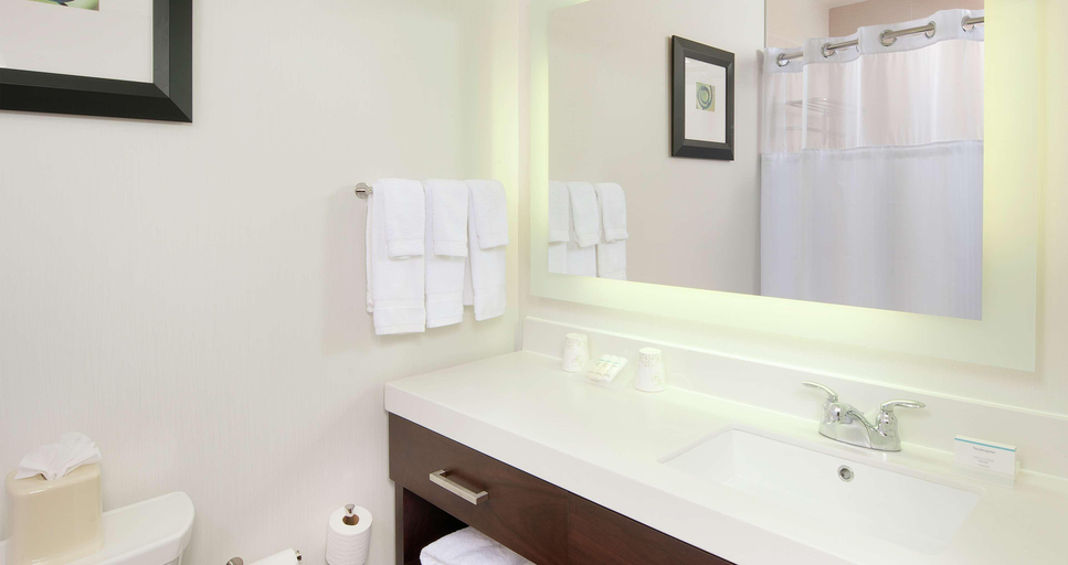 Bathroom 4, Hilton Garden Inn Pittsburgh Downtown, Allegheny