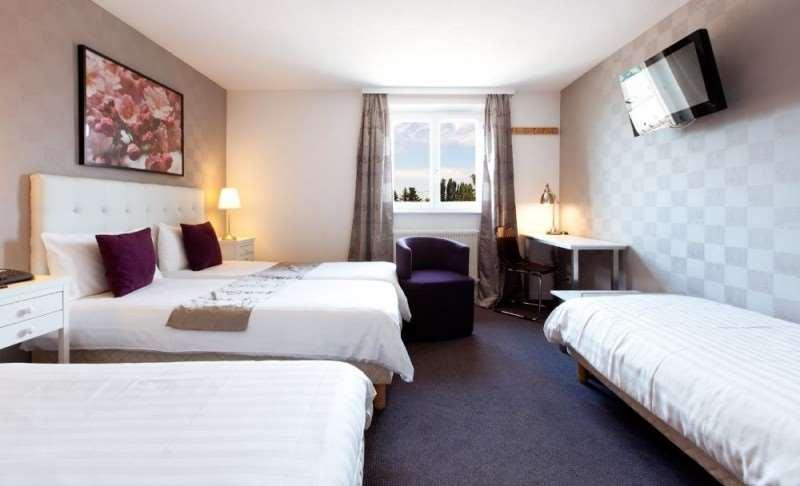 Bedroom 3, Brit Hotel Le Relais Du Ried, Haut-Rhin
