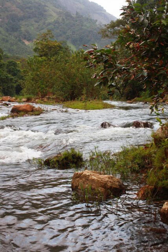 Exterior & Views 2, Wild Elephant Eco-Friendly Resort, Idukki