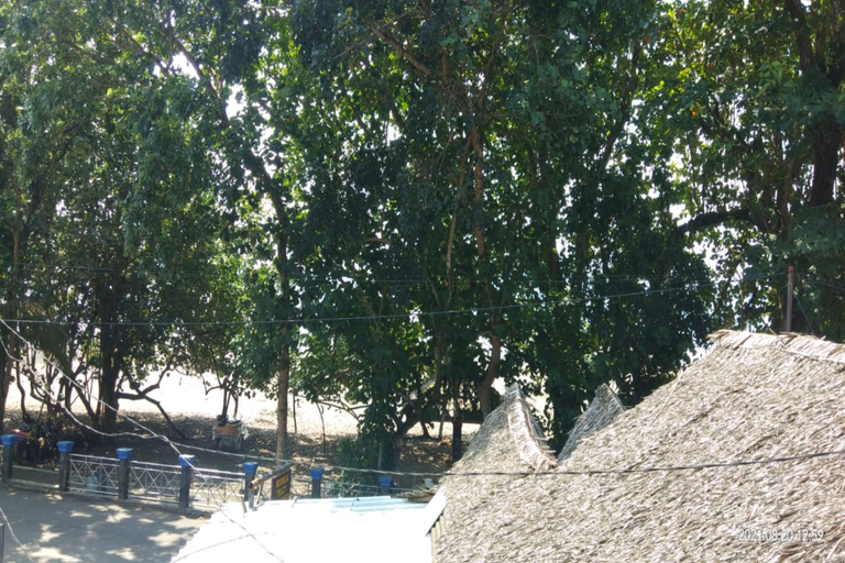 Exterior & Views 5, Buana Homestay 2 Batukaras, Pangandaran
