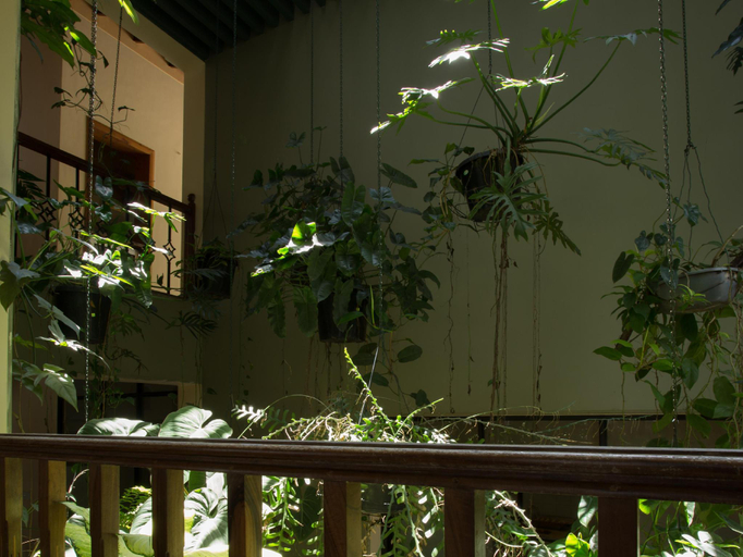 Public Area 3, Oak Ray Serene Garden Hotel, K.F.G. & G. Korale