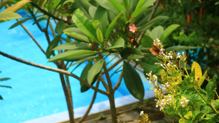 Exterior & Views 3, Villa Kampung Ayem, Mata Air, Sleman