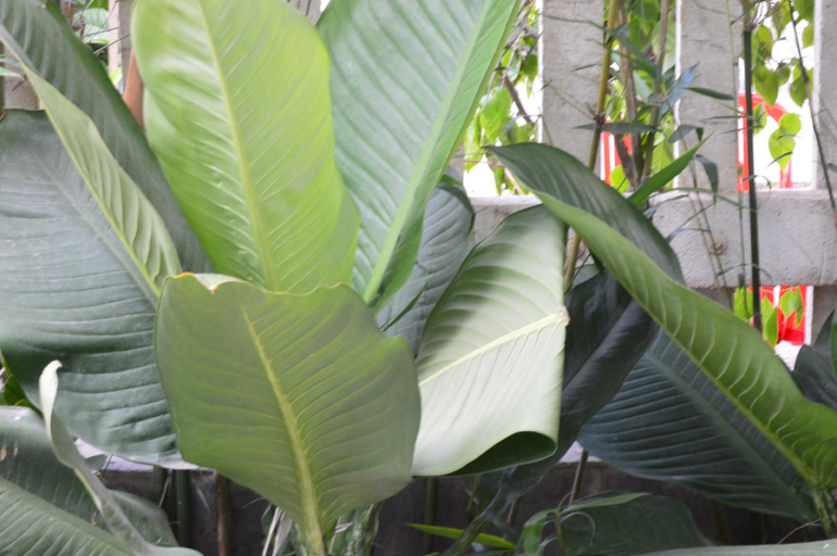 Public Area 2, The House 36, Da Nang