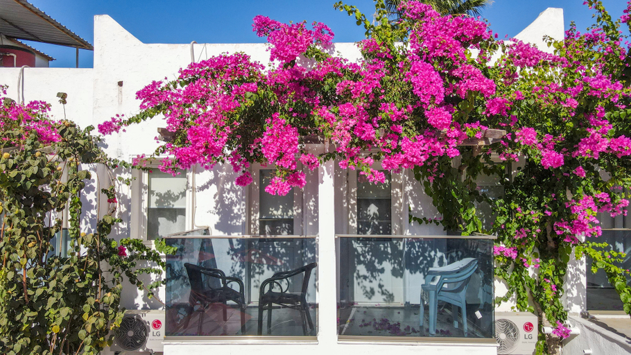 Exterior & Views 2, The Hello Hotel, Bodrum