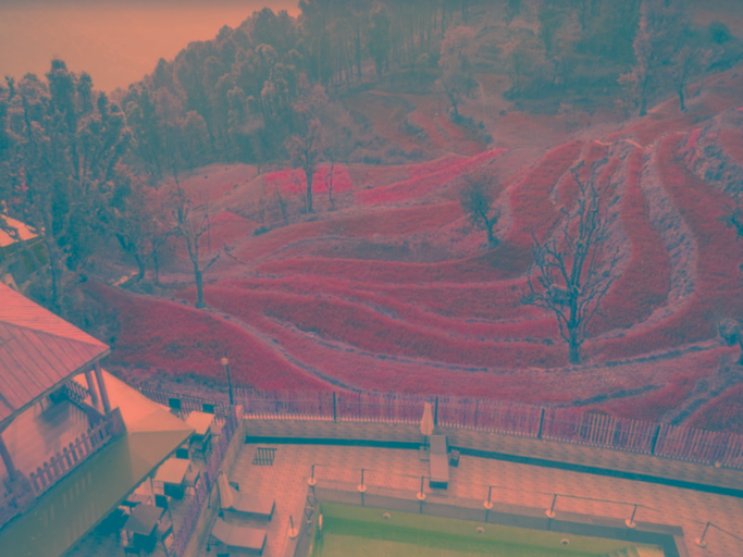 Sport & Beauty 2, Fortune Park Moksha Hotel, Kangra