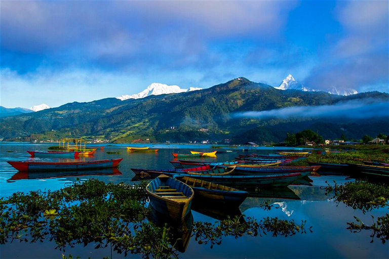 Others 4, Aroma Tourist Hostel, Gandaki