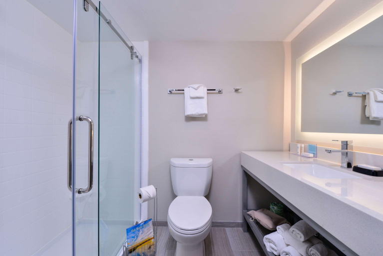 Bathroom 4, Cabana Shores Inn, BW Premier Collection, Horry