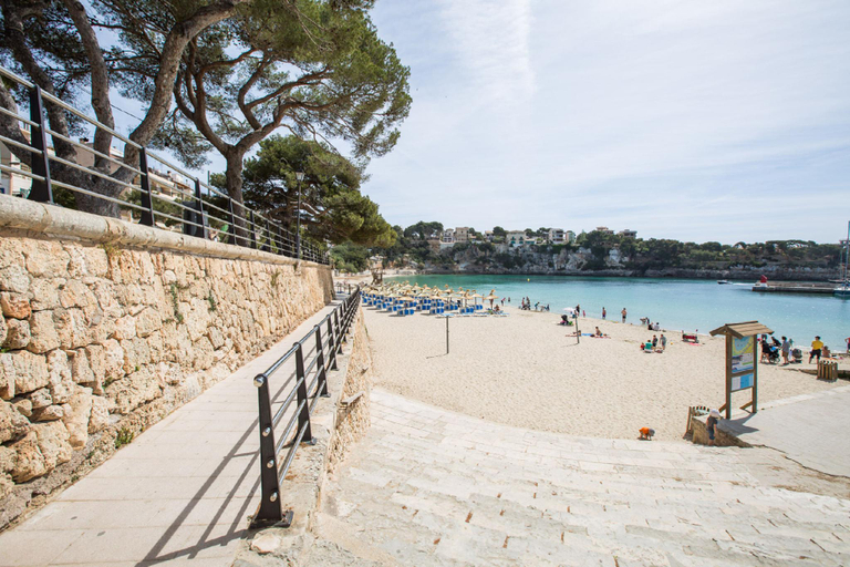 Others 5, FINCA SHORT DE CONIES, Baleares