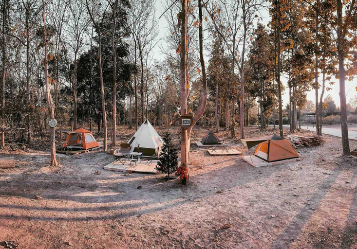 Godung Yaan 369 Alien Teak Woods Magic Camping, Muang Phrae