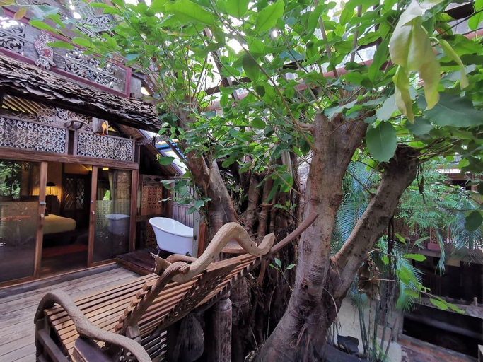 Wow...Tree house in the middle of city, Muang Chiang Mai